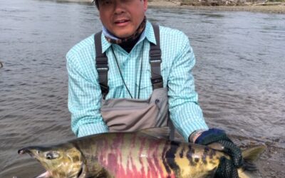 FRESH REPORT FROM ANIAK RIVER ADVENTURES
